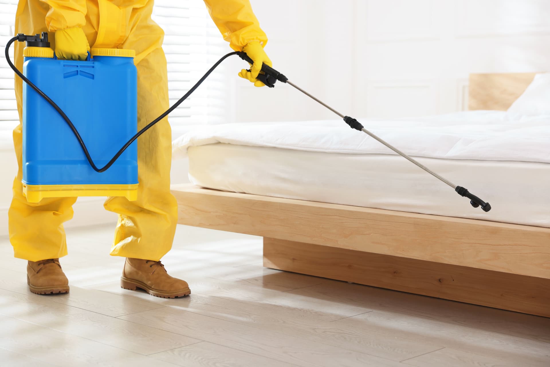 Bed Bug Extermination